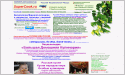 supercook.ru